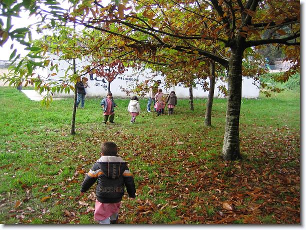 Diapositiva siguiente